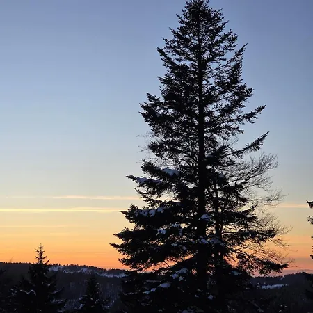 Apartament L'epicea - Nature *